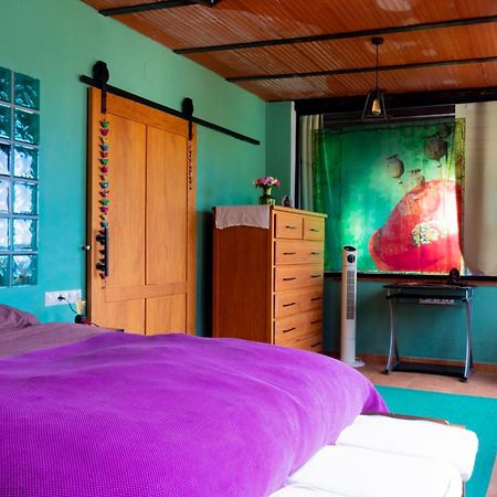 阿罗约德拉迷雅Vivienda Acogedora Con Piscina别墅 外观 照片
