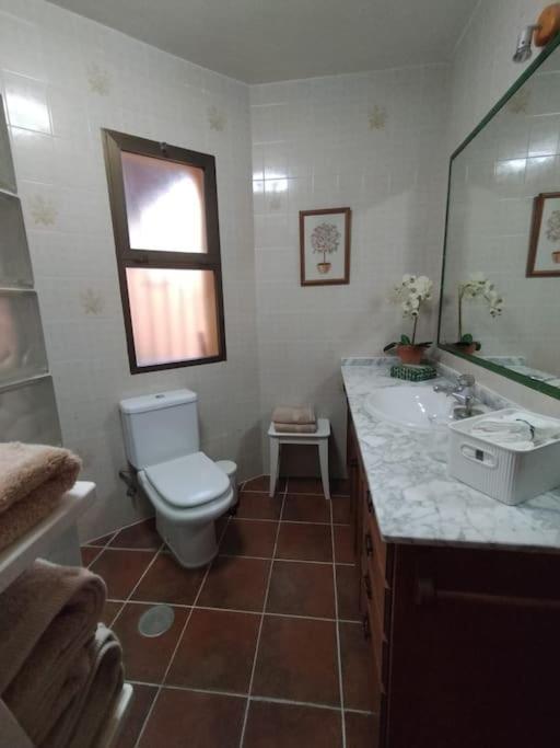 阿罗约德拉迷雅Vivienda Acogedora Con Piscina别墅 外观 照片